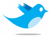 Twitter Bird